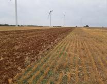 photo travail du sol contre le campagnol des champs