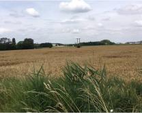 Photographie d'une parcelle