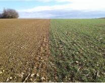 limite entre 2 champs