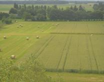 Parcelles agricoles expérimentales