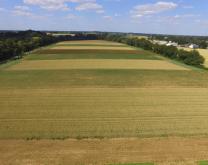 Vue aérienne du dispositif en bandes: on voit les cultures de différentes couleurs.