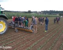 groupe autour d'un binage de haricots