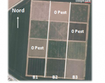 Conçu avant la création du réseau expérimental Rés0Pest, le système de culture "zéro pesticides" de Grignon (78) est intégré dans le dispositif expérimental SIC (systèmes de culture innovants sous contraintes.
