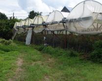 photos des serres extérieures