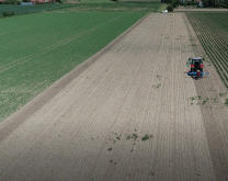 Photographie d'une parcelle