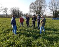 Les agriculteurs du groupe dans une parcelle de méteil riche en légumineuses