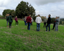 Groupe DEPHY élargi lors d'un coin de champ prairies