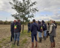Visite du groupe d'une parcelle agroforestière