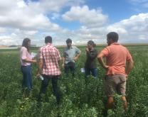 Des agriculteurs en tour de plaine