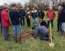 Observation de profils de sols, lors d'une formation