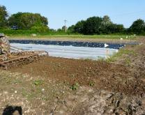 Parcelle d'expérimentation PERSYST à la station Awen Bio du Grab