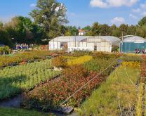 Il s'agit d'une vue d'ensemble de la parcelle expérimentale consacrée aux cultures hors sol. L'essai système DEPHY est conduit sur une surface de 300m² en extérieur avec un arrosage par aspersion ou goutte à goutte selon les essences végétales.