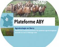 Plateforme ABY